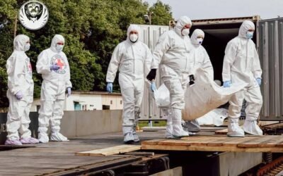 Ukraine says received Russian bodies in war dead exchanges