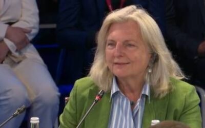 Ex-Austrian FM tells Russians to drop romantic notions about Western Europe