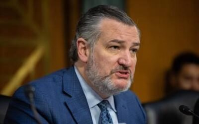 Pro-regime change US senator hails ‘our’ military strikes on Iran