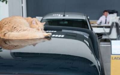 Car sales plunge in Russia