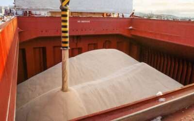 Russia’s fertilizer exports to BRICS soaring – industry