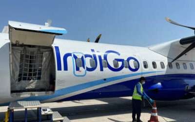 Bee attack delays flight in India (VIDEO)