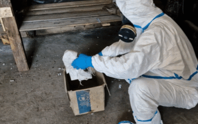 Russia asks chemical weapons watchdog to investigate Ukraine