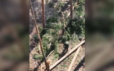 Russian soldier catches Ukrainian drone with bare hands (VIDEO)