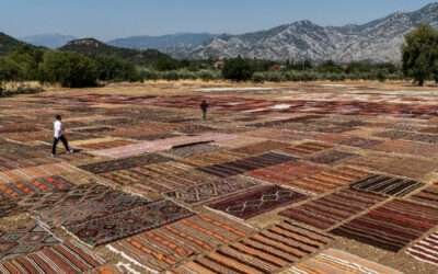 The Bright Side: Thousands of carpets sunbathe at Turkey resort to temper their hues