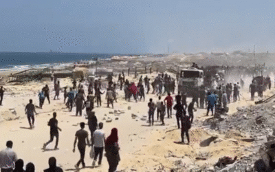 Gunfire during aid distribution in Gaza: ‘I never want to go back there’