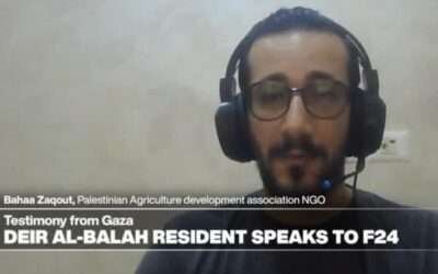 Testimony from Gaza: ‘We are not numbers, we are human beings’