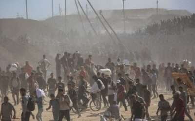 ‘Mr Witkoff, come here right now’: US doctor in Gaza dares Trump’s envoy to witness hunger crisis