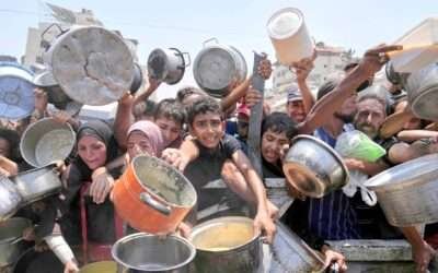 Israeli human rights organisations accuse country of genocide