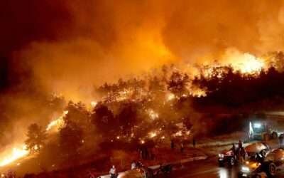 At least 17 killed in Turkey wildfires as thousands flee their homes