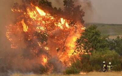 Spain calls on European allies for help amid worsening wildfires