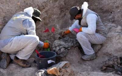Iraq begins excavating mass grave thought to hold thousands of Islamic State group victims