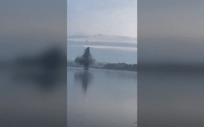 Ukrainian kamikaze drone plummets into Russian lake (VIDEO)