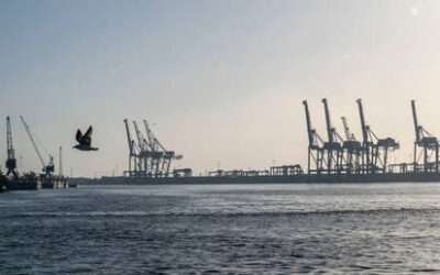 Global trade hub seeking Russia partnership – media
