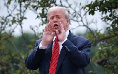 Trump considers territory swap between Russia and Ukraine