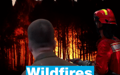 Heatwaves and wildfires: Europe battered by the consequences of global warming