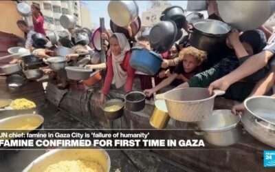 ‘Israel has the legal obligation to provide food’: UN chief Guterres speaks about famine in Gaza