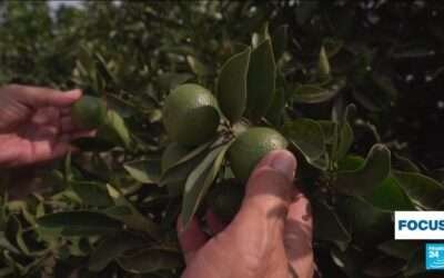 Spain: Europe’s leader in wastewater recycling