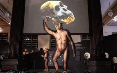 Human ancestor Lucy gets first European showing in Prague