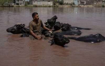 Pakistan monsoon death toll nears 300 as more rains likely from tomorrow