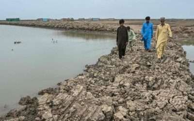 Death of a delta: Pakistan’s Indus sinks and shrinks