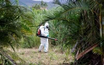 Chikungunya outbreak hits China as cases surge past 7,000