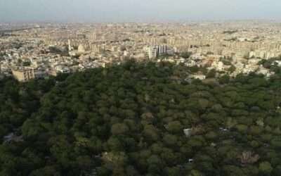 Pakistan reaches critical environmental tipping point as forest cover shrinks by 18%