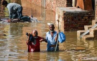 Pakistan’s monsoon death toll tops 800 after rains wreak havoc