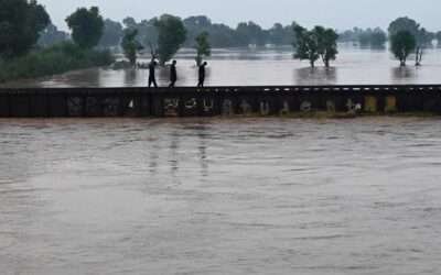 Seven dead, thousands evacuated as swollen rivers flood large parts of Punjab