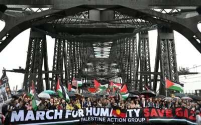 Sydney Harbour Bridge pro-Palestine protest so busy it was ‘perilous’, police chief says