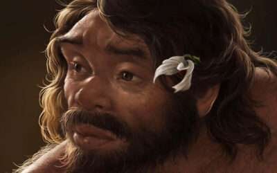 Ancient skull from China redraws human family tree, researchers say