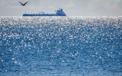 India’s imports of Russian oil rise – media