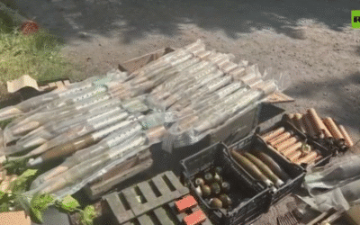 Seized criminal arsenals put on display by Russian law enforcement (VIDEO)