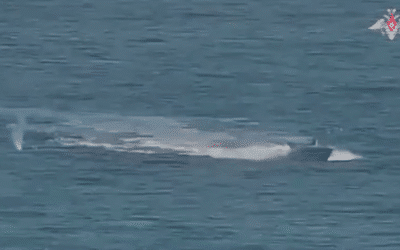 Russian forces destroy Ukrainian naval drones – MOD (VIDEO)