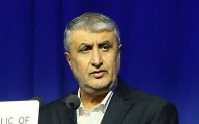 Iran to follow own nuclear path – top energy official