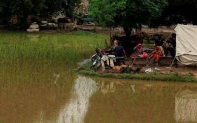 Pakistan slams India for not sharing detailed data after deadly Punjab floods