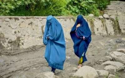 WHO asks Taliban govt to lift female aid worker restrictions following earthquakes