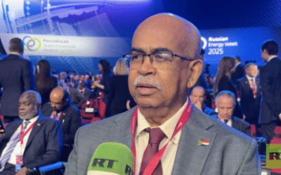Russia among top options for Sudan energy sector rebuild – minister