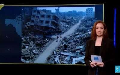 Israel’s Foreign Ministry denounces video allegedly showing Gazans catching whale shark