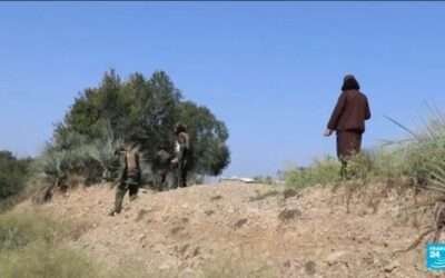 Border clashes between Afghanistan and Pakistan leave dozens dead