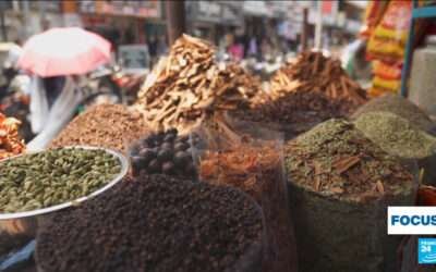 Exploring India’s spice route: A thousand-flavour journey through Kerala