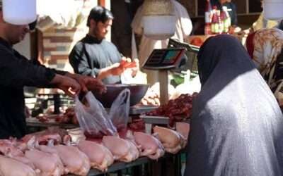 80 kilogrammes of ‘dead chicken meat seized’ in Karachi