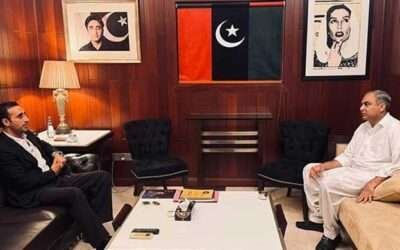 Naqvi, Bilawal call for unity among political parties for Pakistan’s stability