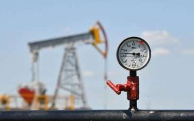 Russian oil exports to India grow despite Western sanctions – Reuters