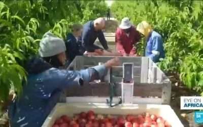 China and South Africa deepen trade ties with new export deal