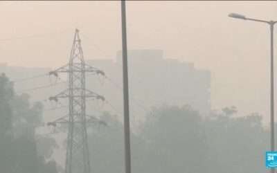 India sees rare protest over pollution: Dozens arrested in New Dehli